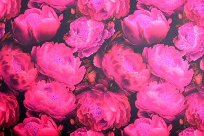 Barbie costume fabric in black with digital print of pink flowers CS10645A (2)