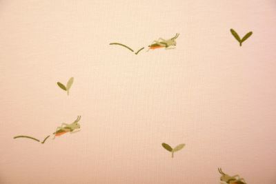 Cotton knit in beige with grasshopper print 23500/052 (1)