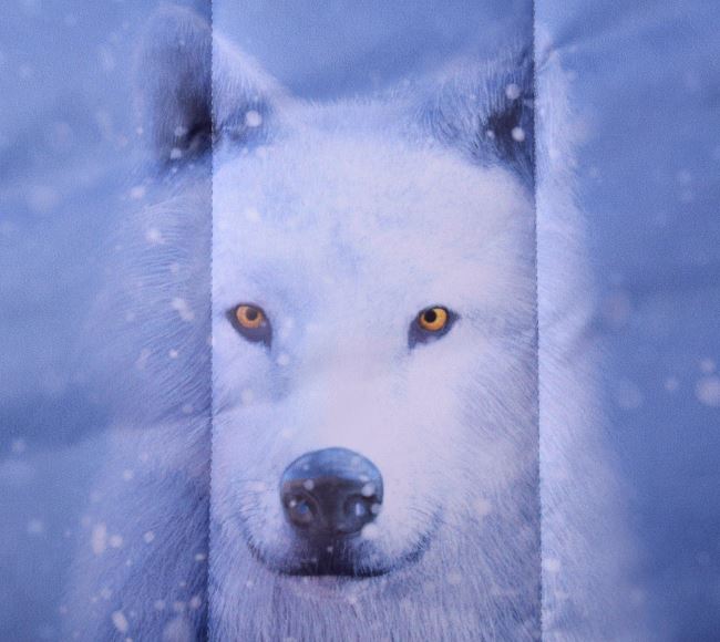 Seam in blue color with a digital print of a wolf and snowflakes PL-NL-401