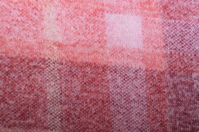 Boiled wool with red check pattern DS-GL2087 (3)