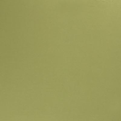 Eco Vero viscose tracksuit in lime green 18501/023 (1)