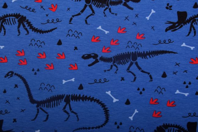 Blue cotton knitwear with a dinosaur skeleton print 19644/006