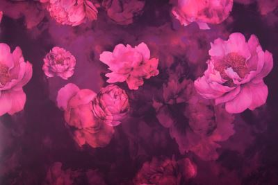 Barbie costume fabric in burgundy color with digital flower print SMT-SC5515B (1)