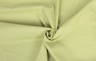 Light green cotton canvas 01805/023