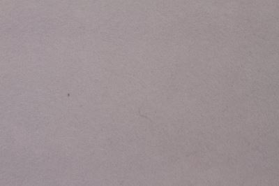 Felt in light gray color 07071/061