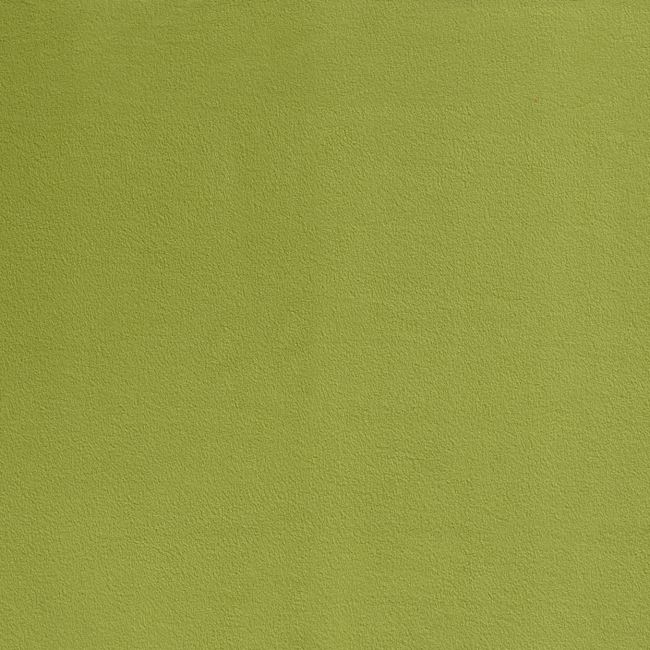 Fleece in light green color 09111/123