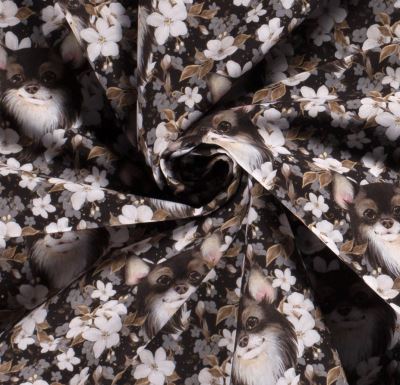 Softshell in black color with digital print of flowers and chihuahua 20422/069 (4)
