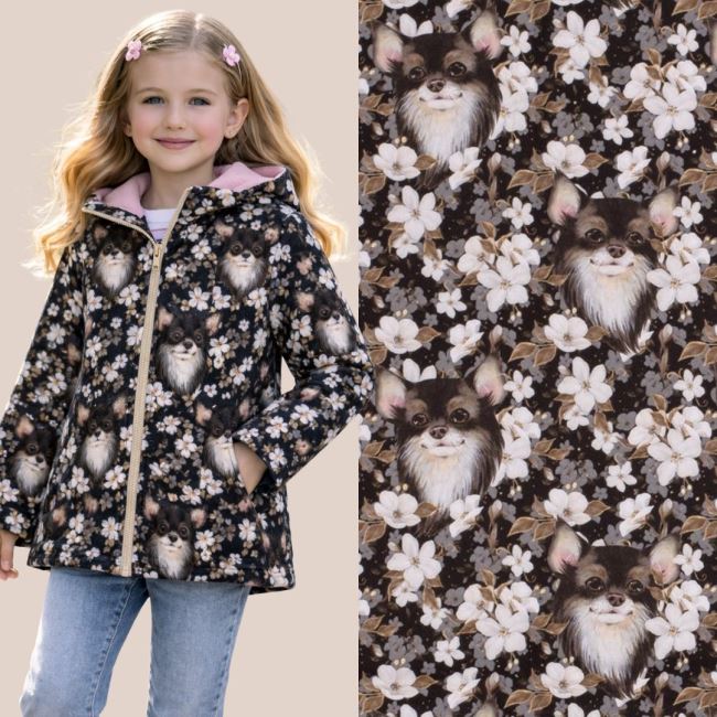 Softshell in black color with digital print of flowers and chihuahua 20422/069