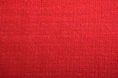 Chanel in red DS-TI002