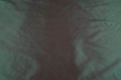 Dark green taffeta with red gloss 0420/210 (1)
