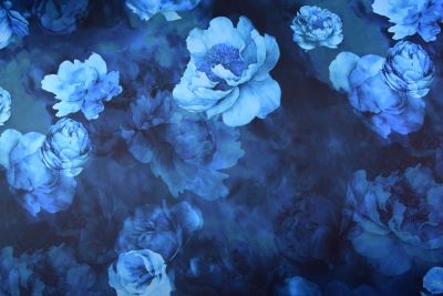 Kimo knitwear with digital print of blue flowers SMT-SC5515C/1 (1)