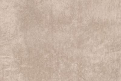 Clothing velvet in beige color 16042/052 (2)