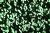Sequins on velvet in dark green color 14000/028