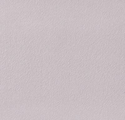 Cotton fleece with Oeko-Tex in light gray color 10004/061