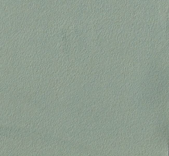 Cotton fleece with Oeko-Tex in menthol color 10004/021