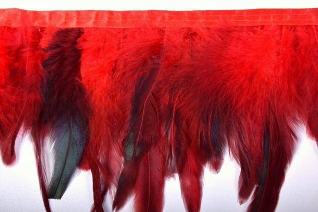 Red decorative feathers 43342