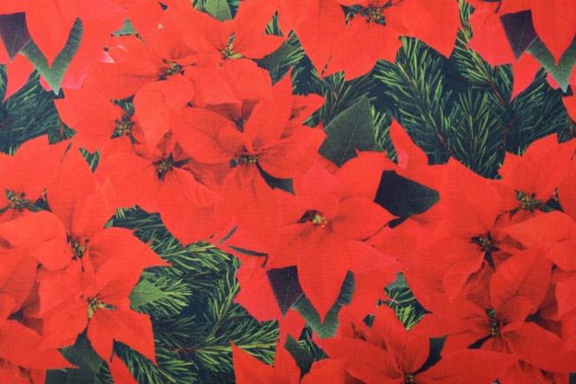 Christmas Digital Star Printed Cotton Fabric KC7010-002