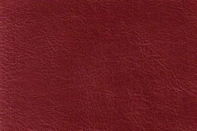 Leather jacket - burgundy 01268/018