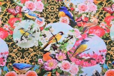 Cotton knit with digital print of birds and flowers 80159