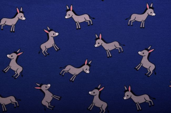 Blue cotton knitwear with a donkey print 17697/008