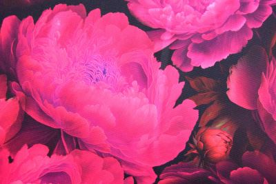 Barbie costume fabric in black with digital print of pink flowers CS10645A (1)